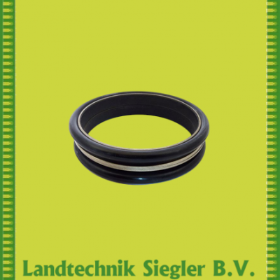 Börger / Gleitringdichtung