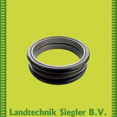 Börger / Gleitringdichtung