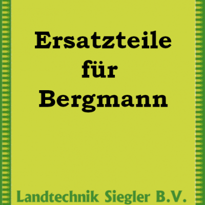 Bergmann Ladewagen